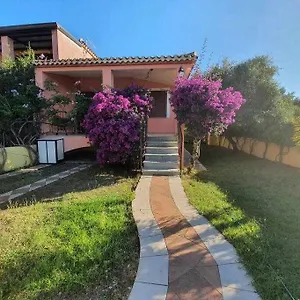 L'olivastro Al Mare P Frailis Àrbatax